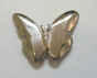 mariposa